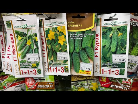 Видео: Обзор огурцов 🥒🥒🥒, огромный выбор на любой вкус . 