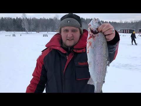 Видео: ЛОВИМ ФОРЕЛЬ НА ПОСТАВУШКИ!