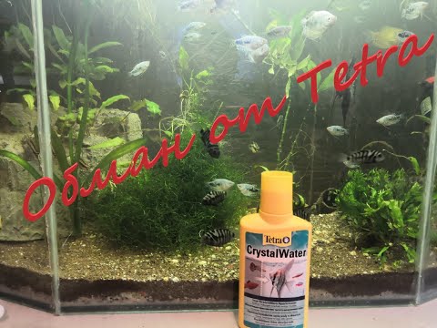 Видео: Tetra Crystal Water. Это провал??? В 4К