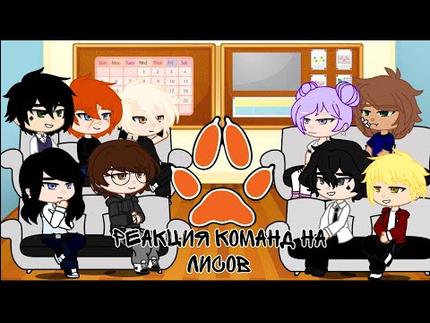 Видео: реакция других команд на команду лисов||1/?||