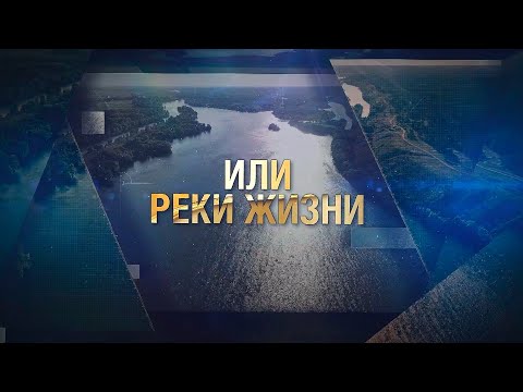 Видео: Река Или – степная Волга Казахстана | Документальный фильм
