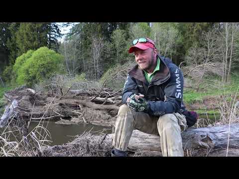 Видео: Разговор про снасти! СПИННИНГИ! Сколько нужно? Какие? Зачем и почему?