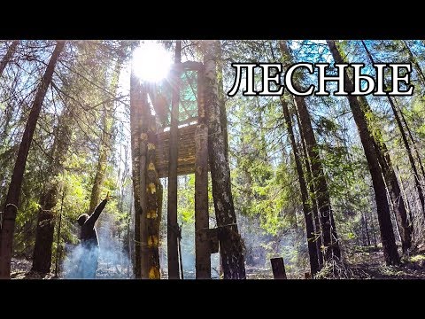 Видео: ДОМ НА ДЕРЕВЕ ПОСЛЕ СУРОВОЙ ЗИМЫ | ЖИЗНЬ в ЛЕСУ - Лесные Bushcraft Tree Shelter