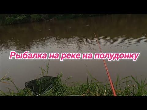 Видео: Рыбалка на реке на полудонку . Рыбалка 2024 . Рыбалка на реке 2024 . Рыбалка на течении . Рыбак 2024