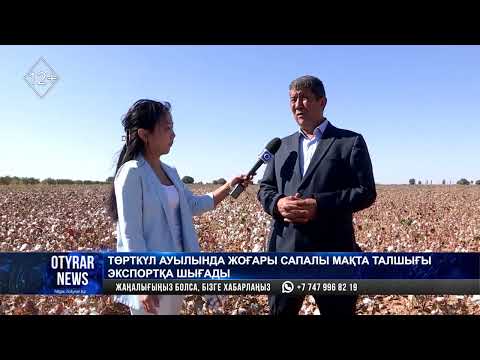 Видео: Төрткүл ауылында жоғары сапалы мақта талшығы экспортқа шығады