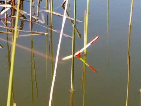 Видео: !!!!НОВИНКА!!!    ЛОВЛЯ КАРАСЯ НА ПОПЛАВОЧНУЮ УДОЧКУ С МОРМЫШКОЙ ВЕСНОЙ. ЛОВЛЯ КАРАСЯ НА ПОПЛАВОК.