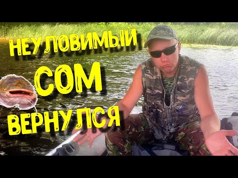 Видео: ЛОВЛЯ СОМА НА КВОК В КИЕВЕ / неуловимый сом вернулся, рыбалка на сома, речная ракушка (беззубка)