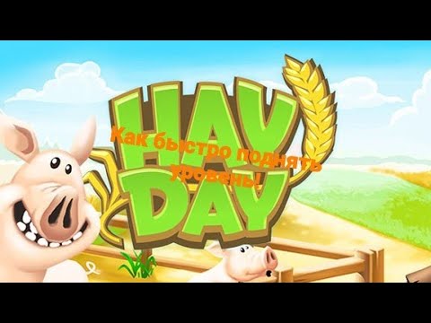 Видео: Советы как быстро поднять уровень! | Hay Day