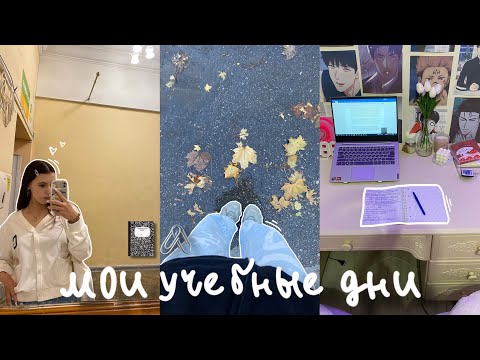 Видео: study diary: мои учебные дни📓🖇️