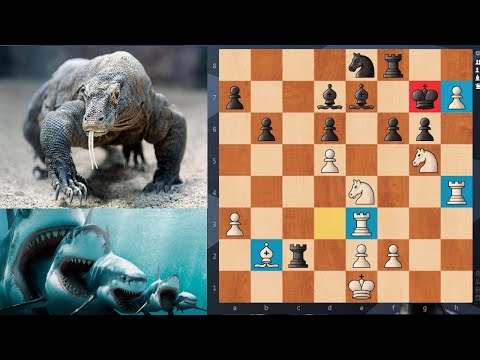 Видео: Шахматы. Шедевр в Битве Шахматных движков!
