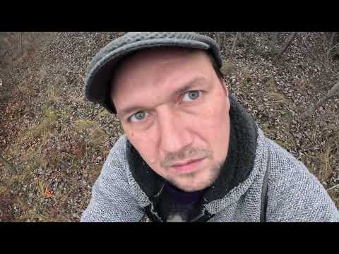 Видео: ОТец ищет грибы 9 ноября 25г