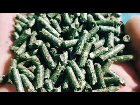 Видео: РЕЦЕПТ КОМБІКОРМУ для КРОЛІВ🐇| COMBINED FEED RECIPE for RABBITS