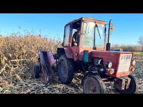 Видео: КУКУРУДЗЯНИЙ КОМБАЙН НА Т_25, Так кукурудзу я ще не молотив