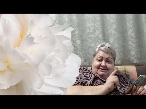 Видео: Можно посмеяться, задуматься и не понять✅