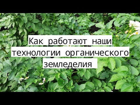 Видео: Живая почва Плодородие почвы Здоровый урожай