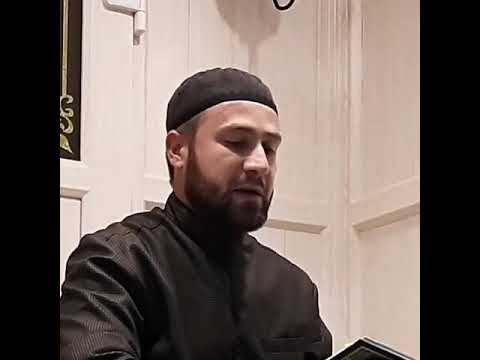 Видео: Хьехам Хаз дицар (Суфии)