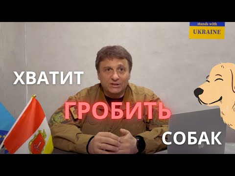 Видео: Дрессировка собак | Вы ОБЯЗАНЫ это знать