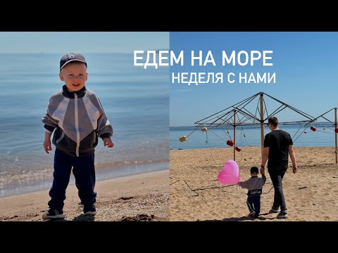 Видео: ОБНОВИЛИ СТРИЖКУ ДАНЕ👦🏼👌🏻ЕДЕМ НА МОРЕ🐳ОПЯТЬ В ИГРОВОЙ😍ДОМАШНИЙ ВЛОГ🙌🏻НЕДЕЛЯ С НАМИ