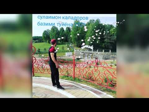Видео: сулаимон каладоров базми туйëна 2021