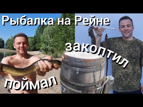 Видео: Рыбалка в Германии | Угорь горячего копчения