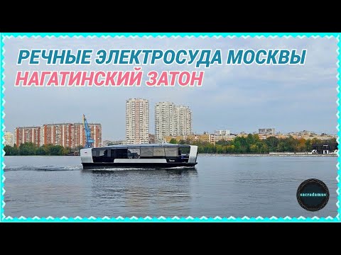Видео: НАГАТИНСКИЙ ЗАТОН и его обитатели / РЕЧНЫЕ ЭЛЕКТРОСУДА Москвы