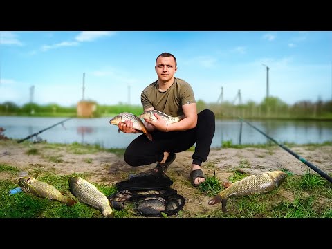 Видео: Весняна рибалка на карпа! Такого кльову я не очікував!