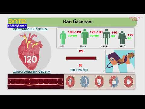 Видео: 8-класс | Биология | Жүрөктүн иштөө цикли. Кан айлануу системасынын гигиенасы