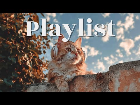 Видео: [Плейлист] Полный осенних вайбов 🍂 | R&B-поп, который хочется сохранить | Кафе, в дорогу