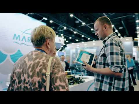 Видео: 7 ноября 2025 г.