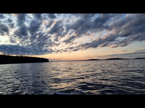 Видео: Дневники рыбака. Верхнетуломское водохранилище, июнь 2023