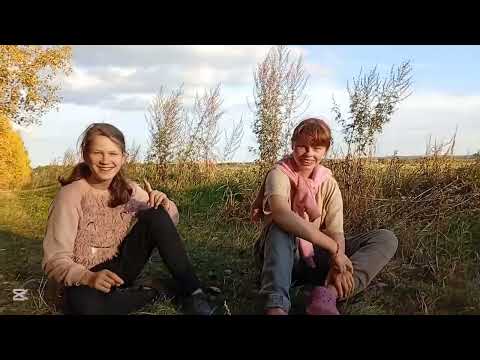 Видео: Влог. Прогулька с собаками. Кое с кем встретимся.