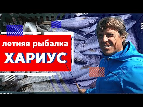 Видео: Рыбалка на хариуса | Северный Байкал | Nord Baikal