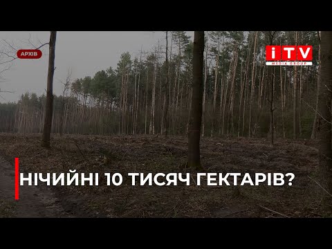 Видео: Чиї ліси на півночі Рівненщини на 10 тисячах гектарів? | ITV media group