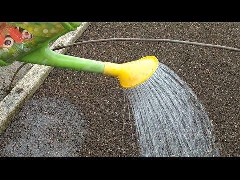 Видео: Выращивание ялтинского лука из семян - посев в парники на рассаду