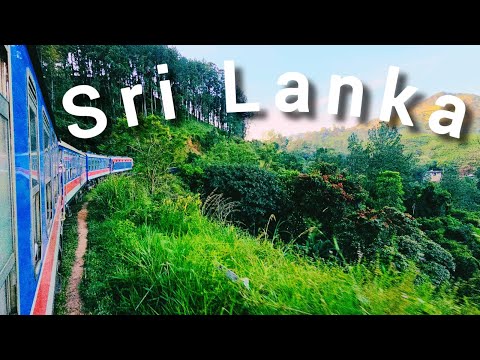 Видео: Shri Lanka, обзор гостиницы Occidental Eden Beruwala, Beruwala