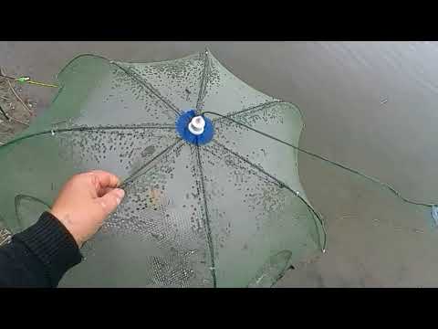 Видео: Сарское Май 2024