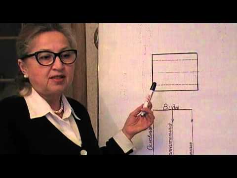 Видео: Урок 2 Начертательная геометрия