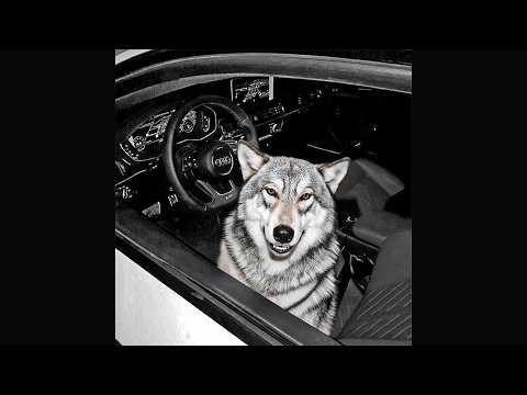 Видео: Михаил Воровской - ✵ На связи