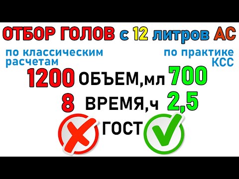 Видео: Метод БЫСТРОГО отбора ГОЛОВ! Отобрал ГОЛОВЫ с 12 литров АС за 2,5 часа.ЧТО по ГХ анализу?ПРАКТИКА №1