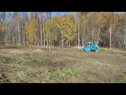 Видео: СЛОЖНАЯ ПАХОТА ЦЕЛИНЫ ТРАКТОРОМ Т40/Я СТАРАЛСЯ КАК МОГ ! ! !