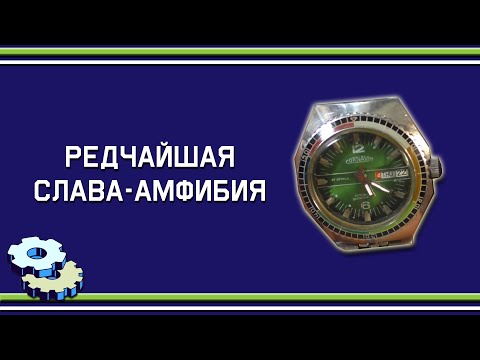 Видео: Редчайшая Слава амфибия