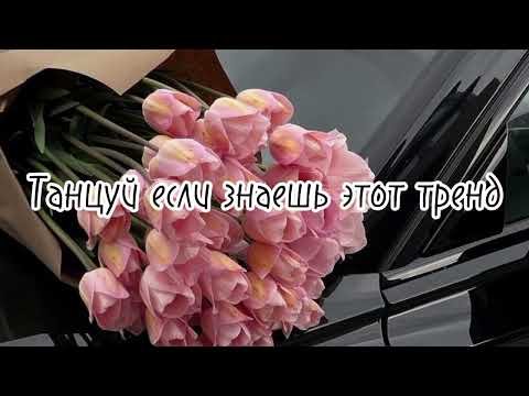Видео: ТАНЦУЙ ЕСЛИ ЗНАЕШЬ ЭТОТ ТРЕНД 2024 | ТИК ТОК ТРЕНДЫ ИЛИ МУЗЫКА ДЛЯ ФЛЕШМОБА
