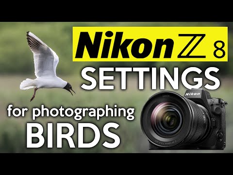 Видео: Мои настройки Nikon Z8 для фотографирования птиц