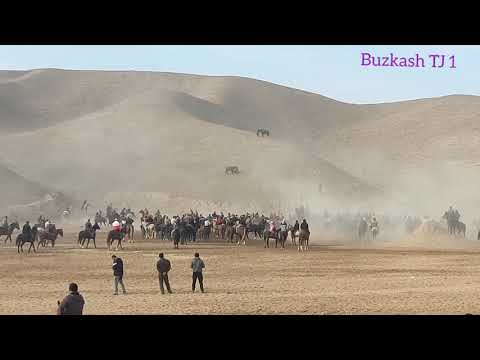 Видео: #дангара Бузкаши калон