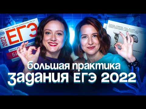 Видео: Большая практика. Задания ЕГЭ 2022 | ЕГЭ-2025 по биологии