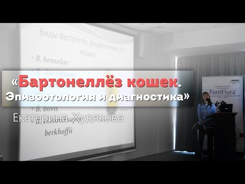 Видео: Бартонеллёз кошек. Эпизоотология и диагностика