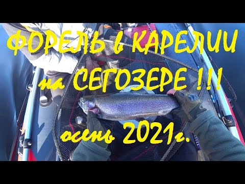 Видео: Рыбалка в КАРЕЛИИ на СЕГОЗЕРЕ!!! РАДУЖНАЯ ФОРЕЛЬ!!!