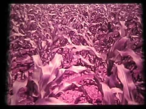 Видео: АПК *  Ленин* - Кнежа  Земята - извор на благоденствие 1972