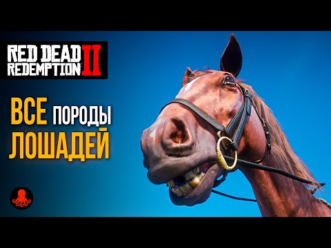 Видео: ГДЕ НАЙТИ ВСЕХ ЛОШАДЕЙ в Red Dead Redemption 2 | RDR2