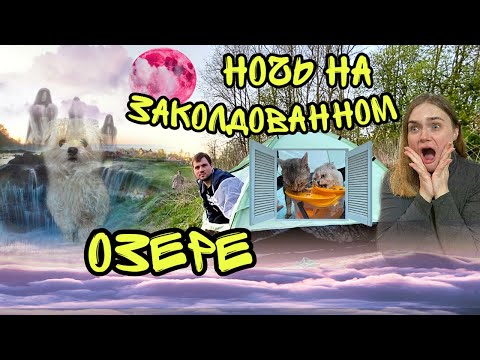 Видео: НОЧЬ В ПАЛАТКЕ НА ЗАКОЛДОВАННОМ ОЗЕРЕ | СПАСЕНИЕ ЩЕНКА БИЛЛИ БОЯ